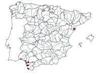 Fundulus heteroclitus_mapa.jpg